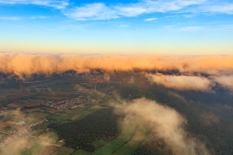 Viehstrich unter Wolken am Abend von Westen in Minfeld im Bundesland Rheinland-Pfalz, Deutschland