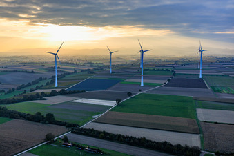 Windpark Freckenfeld im Abendlicht von Westen im Bundesland Rheinland-Pfalz, Deutschland