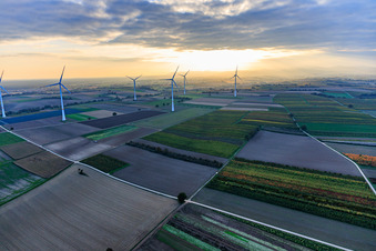 Luftaufnahme von Windpark Freckenfeld im Abendlicht von Westen im Bundesland Rheinland-Pfalz, Deutschland