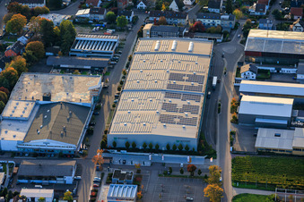 Wickert Holzfachhandel GmbH & Co. KG in Landau in der Pfalz im Bundesland Rheinland-Pfalz, Deutschland