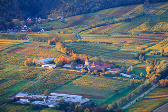 JKI Institut für Rebenzüchtung Geilweilerhof und Institut für Umweltwissenschaften in Siebeldingen im Bundesland Rheinland-Pfalz, Deutschland