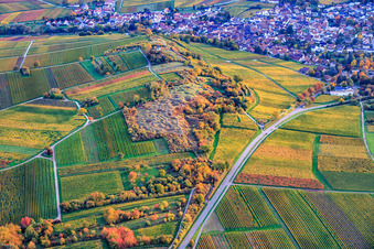 Naturschutzgebiet "Kleine Kalmit" im Ortsteil Arzheim in Landau in der Pfalz im Bundesland Rheinland-Pfalz, Deutschland