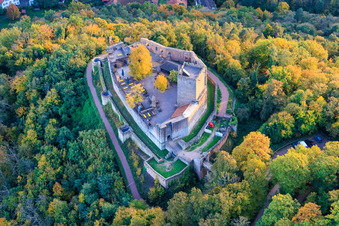 Luftbild von Burg Landeck im Herbst am Abend in Klingenmünster im Bundesland Rheinland-Pfalz, Deutschland
