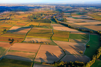 Schrägluftbild von Herbstlich gerfärbte Weinberge zwischen Dierbach und Oberhausen im Bundesland Rheinland-Pfalz, Deutschland