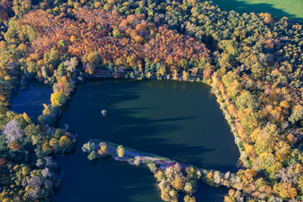Schrägluftbild von Bärensee in Ottersheim bei Landau im Bundesland Rheinland-Pfalz, Deutschland