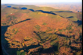 Herbstlicher Wald unterm Ohrensfels in Frankweiler im Bundesland Rheinland-Pfalz, Deutschland