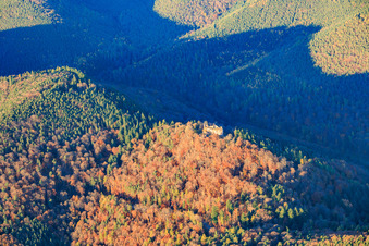 Luftbild von Burgruine Meisteresel im herbstlichen Wald in Ramberg im Bundesland Rheinland-Pfalz, Deutschland