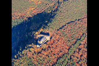 Luftbild von Burgruine Neuscharfeneck im herbstlichen Wald in Flemlingen im Bundesland Rheinland-Pfalz, Deutschland