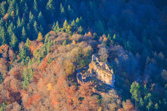 Luftaufnahme von Burgruine Meisteresel im herbstlichen Wald in Ramberg im Bundesland Rheinland-Pfalz, Deutschland