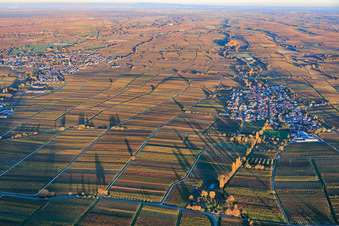 Luftaufnahme von Ortsansicht zwischen herbtlich gefärbten Weinbergen von Westen im Abendlicht in Roschbach im Bundesland Rheinland-Pfalz, Deutschland