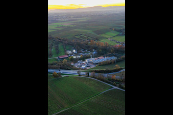 Geothermiekraftwerk Insheim zur Lithiumgewinnung durch die Vulcan Energy GmbH im Bundesland Rheinland-Pfalz, Deutschland