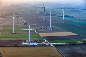 Riesenkran zum Repowering des Windpark Minfeld. JUWI ersetzt vier Altanlagen (GE 1.5) aus 2004 durch zwei neue, modernen Anlagen vom Typ Vestas V162 mit je sechs MW im Bundesland Rheinland-Pfalz, Deutschland