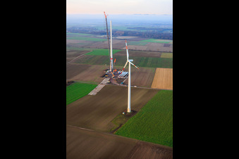 Riesenkran zum Repowering des Windpark Minfeld. JUWI ersetzt vier Altanlagen (GE 1.5) aus 2004 durch zwei neue, modernen Anlagen vom Typ Vestas V162 mit je sechs MW im Bundesland Rheinland-Pfalz, Deutschland von oben gesehen