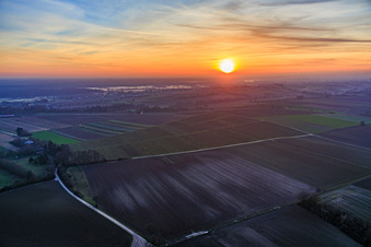 Bodennebel am Viehstrich bei Sonnenuntergang in Freckenfeld im Bundesland Rheinland-Pfalz, Deutschland