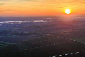Luftbild von Bodennebel am Viehstrich bei Sonnenuntergang in Freckenfeld im Bundesland Rheinland-Pfalz, Deutschland
