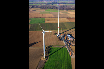 Drohnenbild von Riesenkran zum Repowering des Windpark Minfeld. JUWI ersetzt vier Altanlagen (GE 1.5) aus 2004 durch zwei neue, modernen Anlagen vom Typ Vestas V162 mit je sechs MW im Bundesland Rheinland-Pfalz, Deutschland