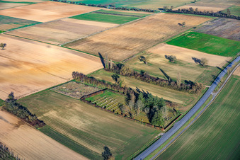 Luftbild von Jüdischer Friedhof Rülzheim im Bundesland Rheinland-Pfalz, Deutschland