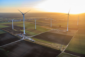 Luftaufnahme von Repowering des Windpark Minfeld. JUWI ersetzt vier Altanlagen (GE 1.5) aus 2004 durch zwei neue, modernen Anlagen vom Typ Vestas V162 mit je sechs MW in Kandel im Bundesland Rheinland-Pfalz, Deutschland