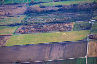 Billigheimer Bruch im Ortsteil Mühlhofen in Billigheim-Ingenheim im Bundesland Rheinland-Pfalz, Deutschland