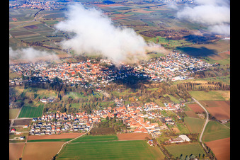 Billigheim-Ingenheim/Billigheim