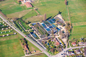 Neustadt an der Weinstraße