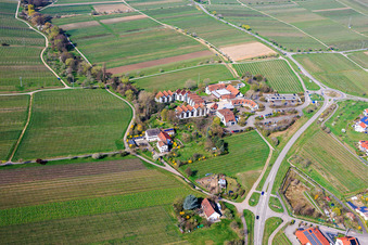 Ob. Mühle mit BG RCI in Maikammer im Bundesland Rheinland-Pfalz, Deutschland