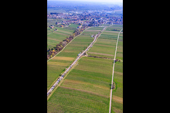 Mandelmeile von Südwesten (Villastraße) in Edenkoben im Bundesland Rheinland-Pfalz, Deutschland