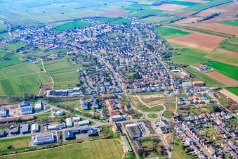 Lachen von Nordosten in Neustadt an der Weinstraße im Bundesland Rheinland-Pfalz, Deutschland