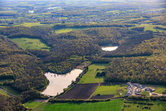 Zwei Fischteiche im Wald Étang de Diebling und Étang de Metzing im Bundesland Moselle, Frankreich