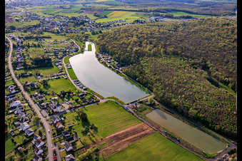 Zwei Teiche "Étang Saint-Vit" und eine Insel als Landebahn im Ortsteil Blauberg in Saargemünd im Bundesland Moselle, Frankreich