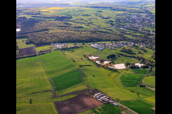 Vier Teiche an der Rue Des ètangs in Metzing im Bundesland Moselle, Frankreich