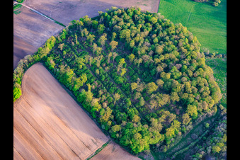 Überwucherte Parzellen am ehemaligen Miltärflugplatz Grostenquin in Lixing-lès-Saint-Avold im Bundesland Moselle, Frankreich