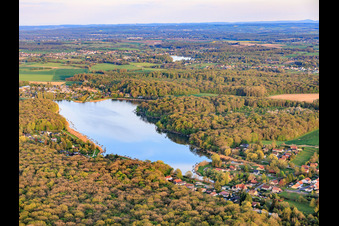 Etang des marais im Wald in Rémering-lès-Puttelange im Bundesland Moselle, Frankreich