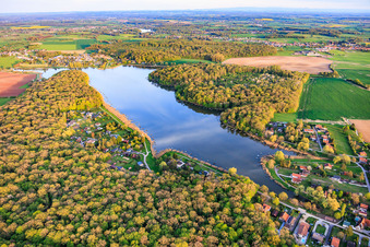 Etang des marais im Wald in Rémering-lès-Puttelange im Bundesland Moselle, Frankreich