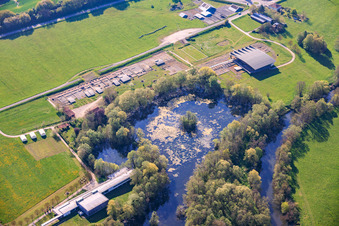 Naturschutzgebiet am Römermuseum Bliesbruck im Bundesland Moselle, Frankreich