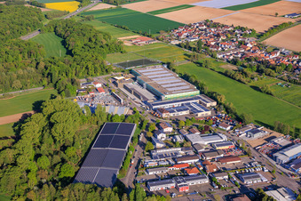 Kandel/Minderslachen