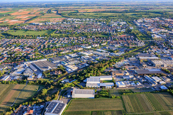 Stadtansicht aus Norden mit Gewerbegebiet Nord, Horstring und Queichheim in Landau in der Pfalz im Bundesland Rheinland-Pfalz, Deutschland