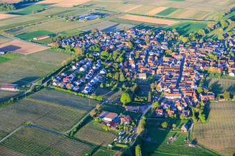 Impflingen von Westen im Bundesland Rheinland-Pfalz, Deutschland