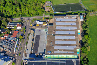 Fast fertiggestellter Neubau des Logistikpark der HANSAINVEST und DFI-Real-Estate Kandel für FRISCHEPLATTFORM SÜDWEST der Gemüsering Stuttgart GmbH im Ortsteil Minderslachen im Bundesland Rheinland-Pfalz, Deutschland