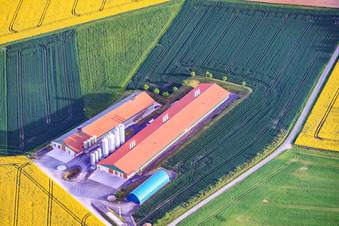 Tierzuchthallen von Maststall Hagel im Ortsteil Messenfeld in Ebensfeld im Bundesland Bayern, Deutschland