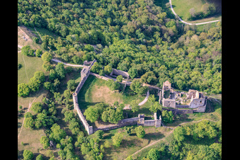 Naturschutzgebiet „Ruine Homburg“ und Burgruine Homburg bei Gössenheim im Bundesland Bayern, Deutschland