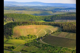 Weinberge zwischen Tal und Wald aus Süden in Ramsthal im Bundesland Bayern, Deutschland