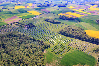 Im Rückbau befindlicher Solarpark Gut Erlasee mit dem Sonnenstand nachgeführten Paneelen im Ortsteil Büchold in Arnstein im Bundesland Bayern, Deutschland