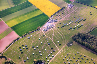 Baustelle zum Rückbau der Mover am Solarpark Gut Erlasee mit dem Sonnenstand nachgeführten Paneelen im Ortsteil Büchold in Arnstein im Bundesland Bayern, Deutschland