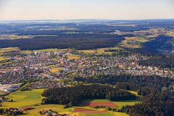 Sulgen aus Norden in Schramberg im Bundesland Baden-Württemberg, Deutschland