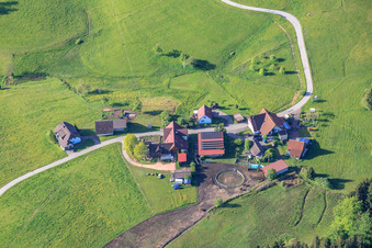 Mooswald mit Käppelebauer und Biggi's Nähstüble im Ortsteil Diesenhof in Lauterbach im Bundesland Baden-Württemberg, Deutschland