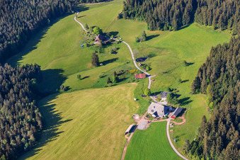 Krährbauernhof - Eva Miriam Häuber im Ortsteil Reichenbach in Hornberg im Bundesland Baden-Württemberg, Deutschland