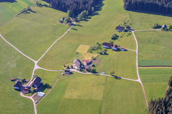 Aussiedlerhöfe in Oehle im Ortsteil Tennenbronn in Schramberg im Bundesland Baden-Württemberg, Deutschland