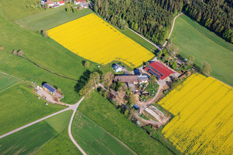 Aussiedlerhof im Ortsteil Stampfe in Dunningen im Bundesland Baden-Württemberg, Deutschland