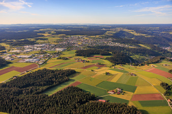 Sulgen von Norden in Schramberg im Bundesland Baden-Württemberg, Deutschland